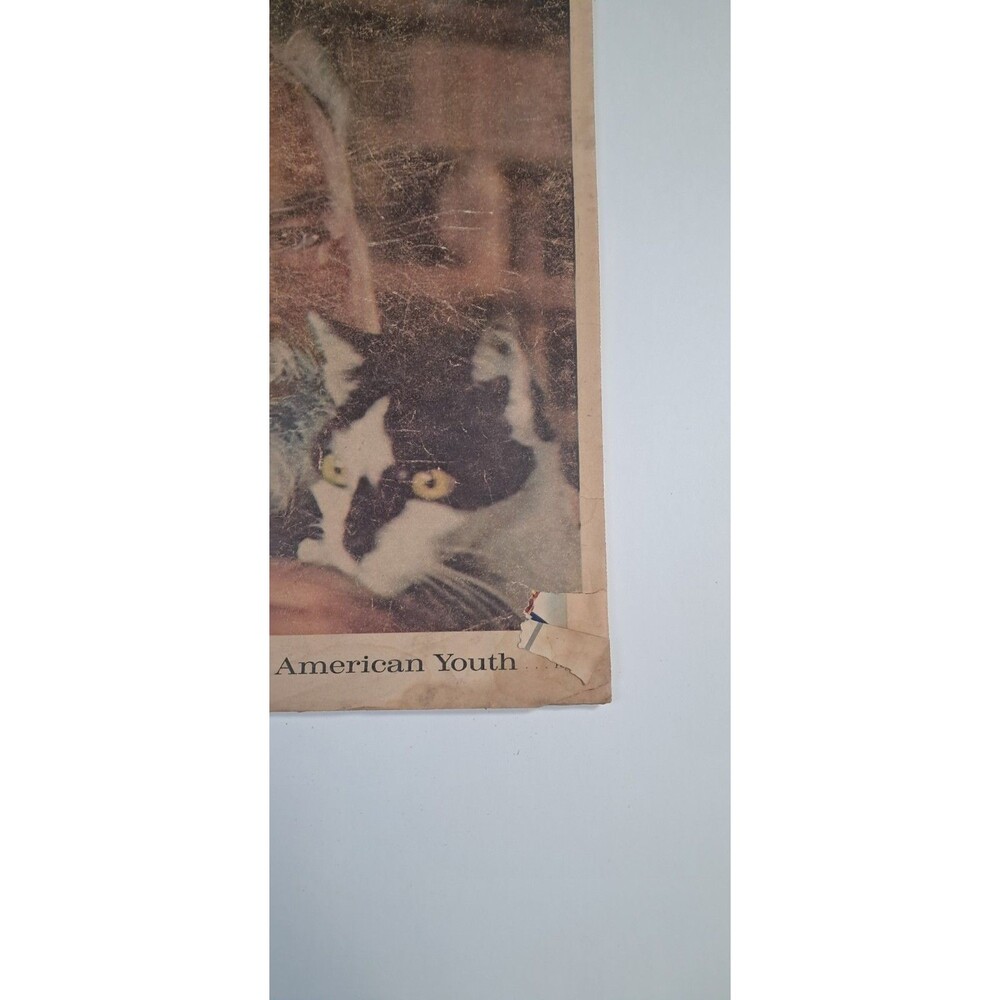 This Week Magazine Minneapolis Sunday Tribune 10/18/59 Ernest Hemingway - Picture 3 of 10